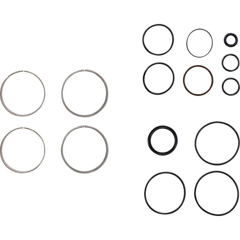 FORK BUSHING KIT MOOSE