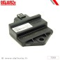 Boîtier de commande DELLORTO ECU Racing 45km/h Boîtier de commande DELLORTO ECU Racing 45km/h
