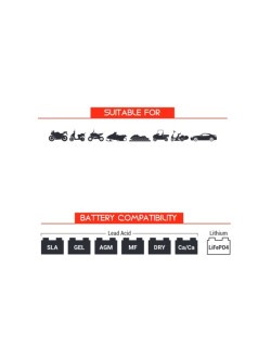 Connecteurs à œillet BS BATTERY - boîte de 20