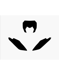 Fonds de plaque BLACKBIRD noir Fantic XX