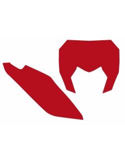 Fonds de plaque BLACKBIRD rouge Sherco SE/SE-F
