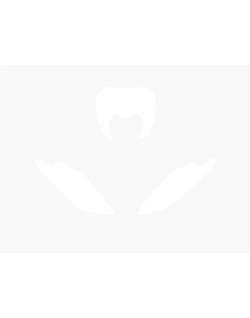 Fonds de plaque BLACKBIRD blanc Fantic XE