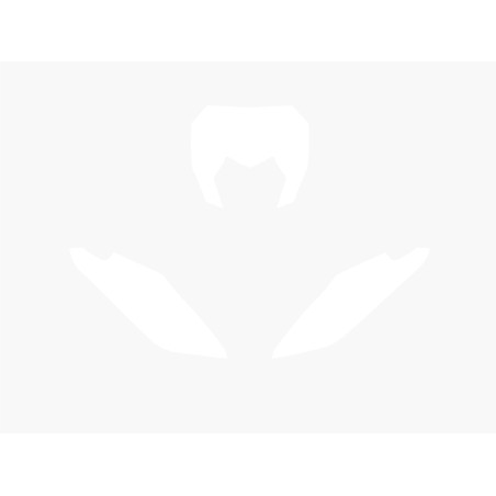 Fonds de plaque BLACKBIRD blanc Fantic XE