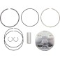 PISTON KIT RAPT/RHIN660