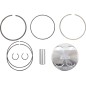 PISTON KIT RAPT/RHI 700RI