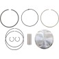 PISTON KIT RPTR 700 10:1