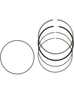 RING SET MOOSE