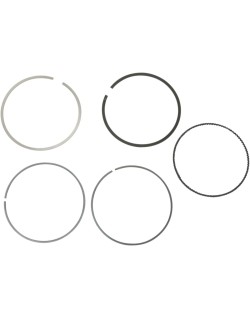 RING SET MOOSE