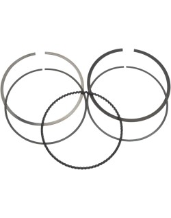 RING SET MOOSE