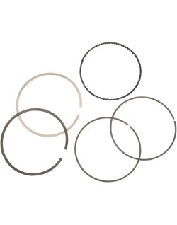 RING SET MOOSE