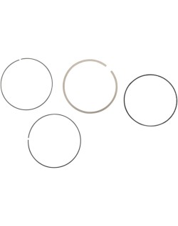 RING SET MOOSE