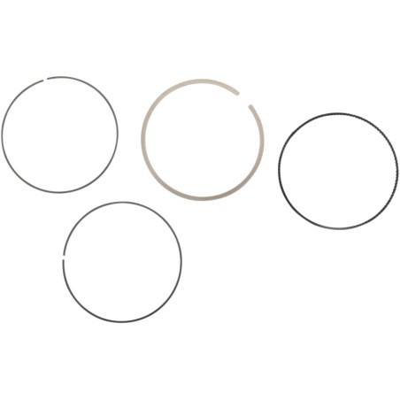 RING SET MOOSE