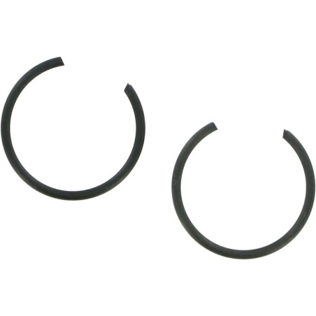 CIRCLIP MOOSE