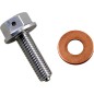 DRAIN PLUG MAGNETIC SLVR