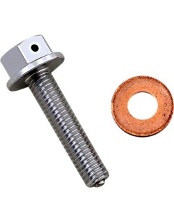 DRAIN PLUG MAGNETIC SLVR