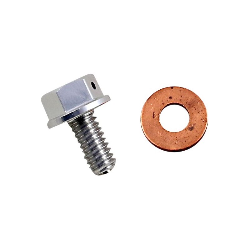 DRAIN PLUG MAGNETIC SLVR