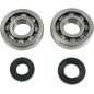CRANK BRG/SEALS