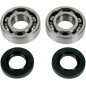 BEARING CRANK KAW/SUZ80
