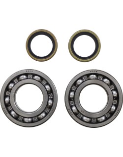BEARING CRANK MSE BETA