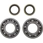 BEARING CRANK MSE BETA