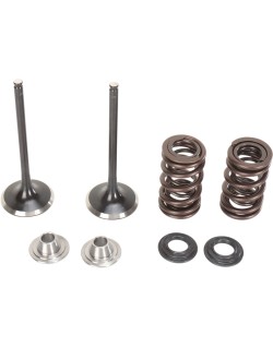 VALVE KIT IN MSE KX250F