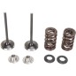 VALVE KIT IN MSE KX250F