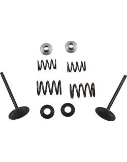 VALVE KIT IN MSE LTR450