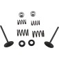 VALVE KIT IN MSE LTR450