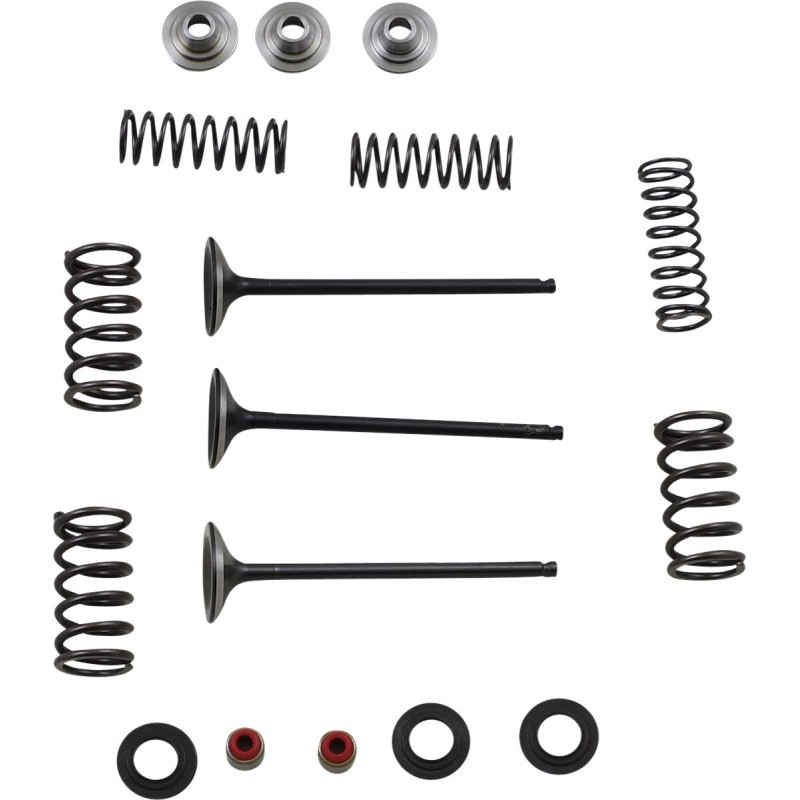 VALVE KIT IN MSE YZ250F