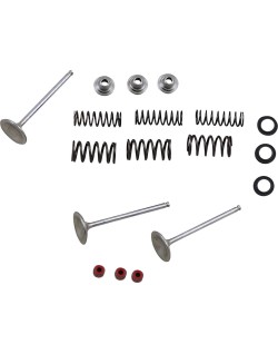 VALVE KIT IN MSE YZ450F