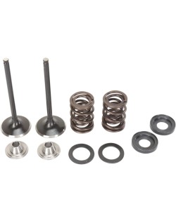 VALVE KIT IN MSE 450EXC