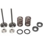 VALVE KIT IN MSE 450EXC
