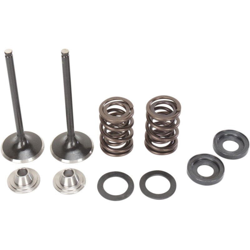 VALVE KIT EX MSE 450EXC
