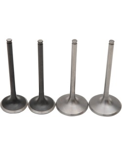 VALVE KIT MSE PRO TRX450X