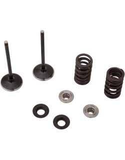 VALVE KIT IN MSE YZ 250F