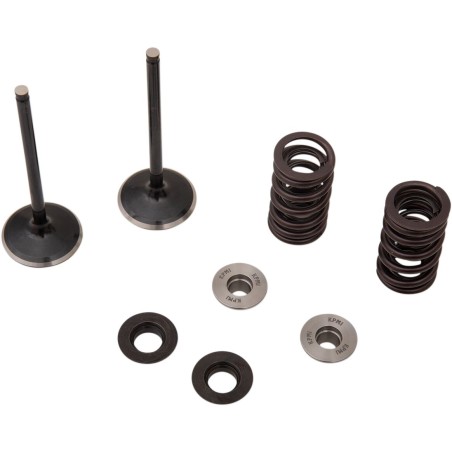 VALVE KIT IN MSE YZ 250F