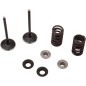 VALVE KIT IN MSE YZ 250F