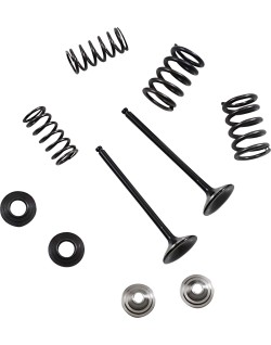 VALVE KIT EX MSE YZ 250F
