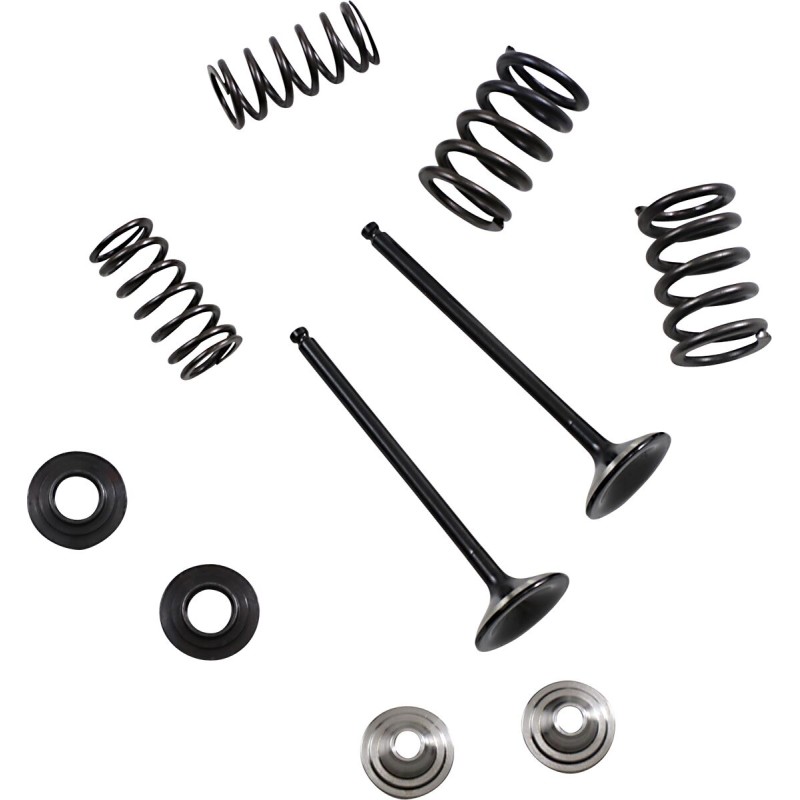 VALVE KIT EX MSE YZ 250F