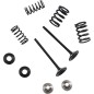 VALVE KIT EX MSE YZ 250F
