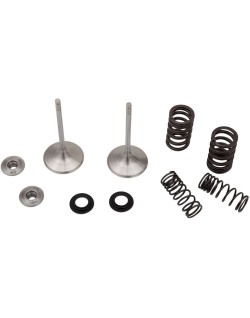 VALVE IN MSE CRF450 RX/WE