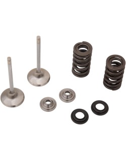 VALVE EX MSE CRF450 RX/WE