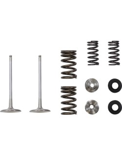 VALVE IN MSE KAW 250