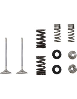 VALVE EX MSE KAW 250