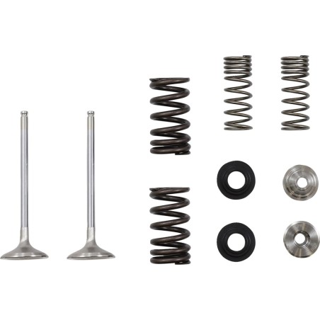 VALVE EX MSE KAW 250