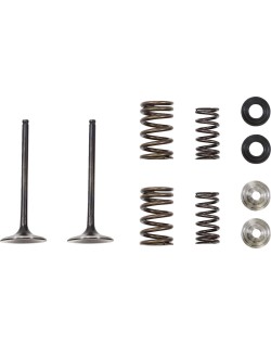 VALVE IN MSE HON 250