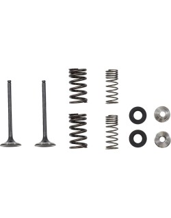 VALVE EX MSE HON 250