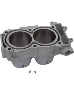 CYLINDER STD POLARIS MSE