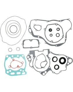 MTR GSKT/SEAL SET-RM250