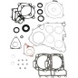 GASKET-KIT W O/S-BRT FRC